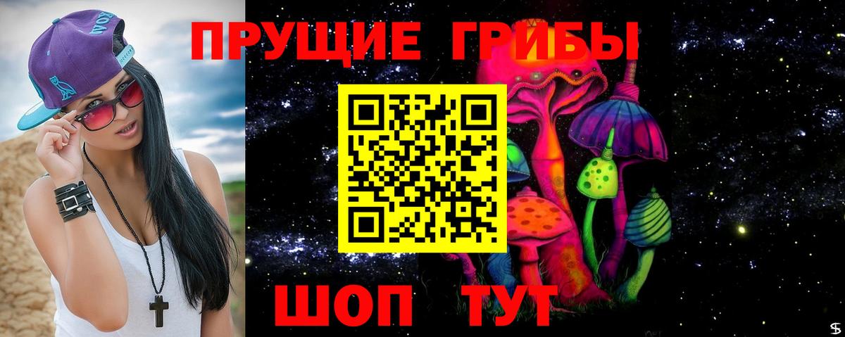 Галлюциногенные грибы Psilocybine cubensis  Вход с VPN  Тихорецк  Галлюциногенные грибы прущие грибы 